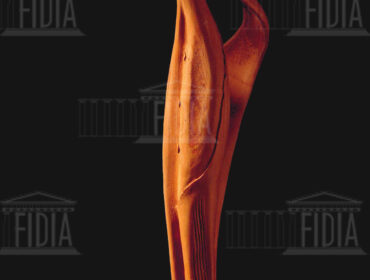 terracotta - Berenice