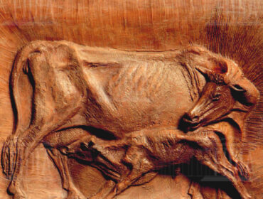 terracotta - rilievo mucca vitellino